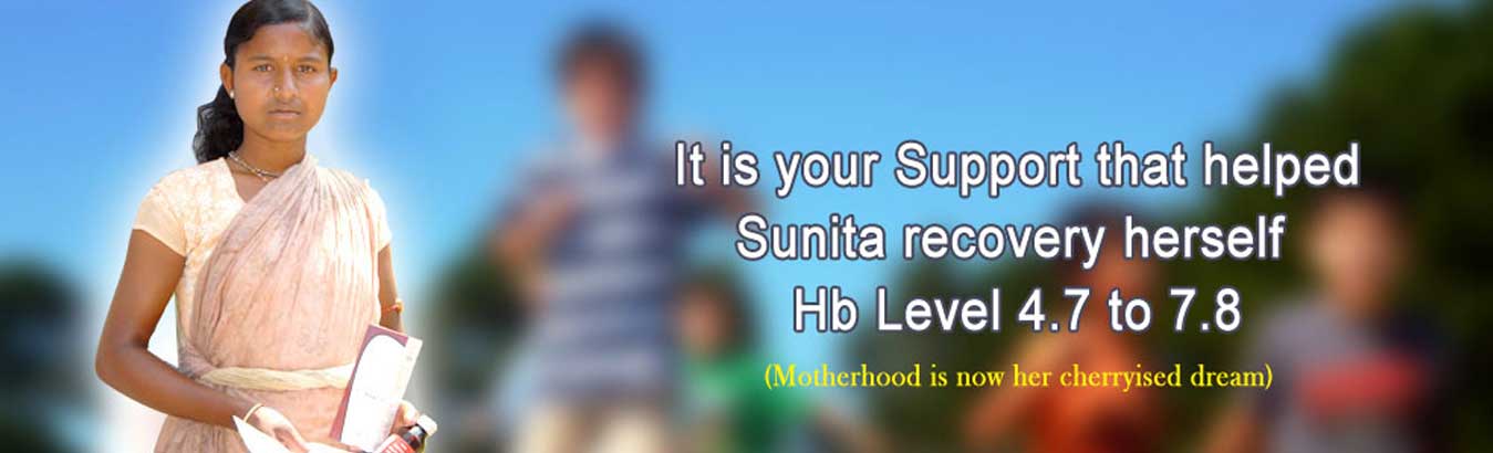 Banner Banner